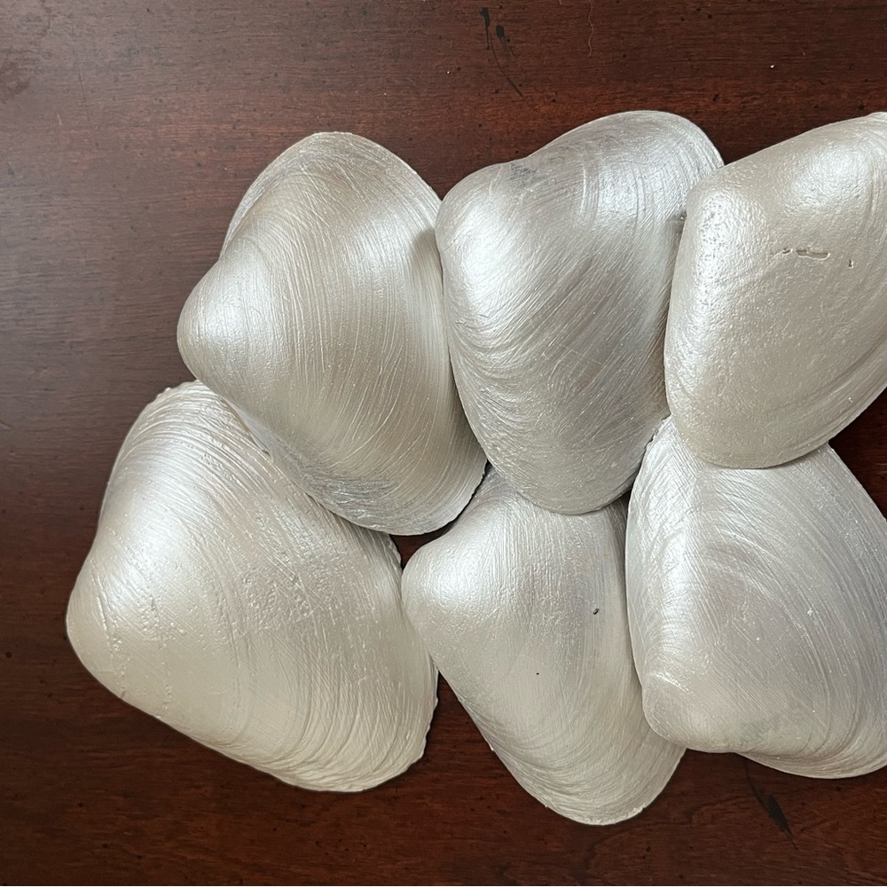 🌻6-Pearl painted shells - Picture 13 of 14
